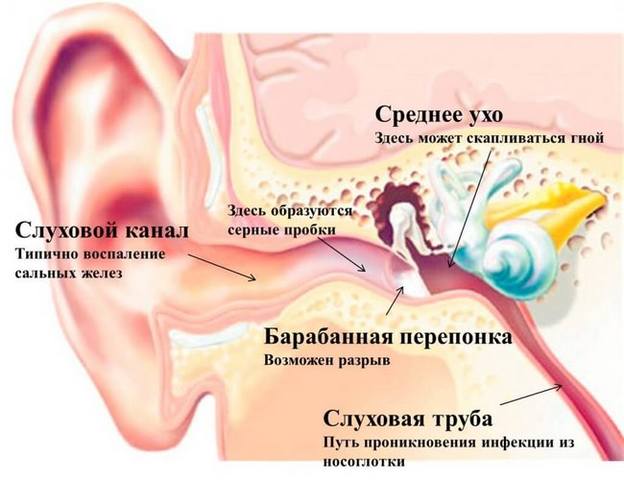 КТ внутреннего уха